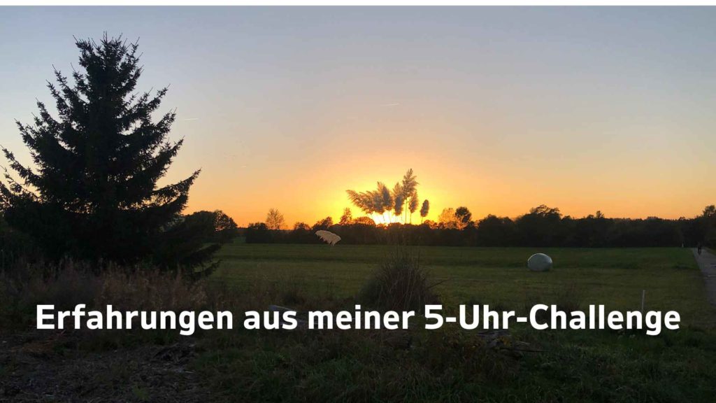 Sonnenaufgang am Horizont, im Vordergrund Silhouetten der Gräser und eine Tanne