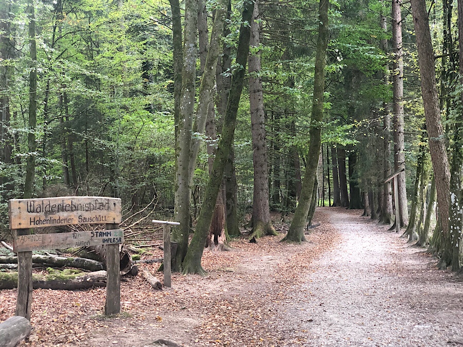 Waldpfand Sauschütt im Ebersberger Forst