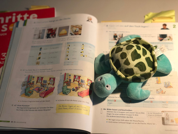 Eine kleine grüne Stoffschildkröte liegt auf dem Deutschbuch.